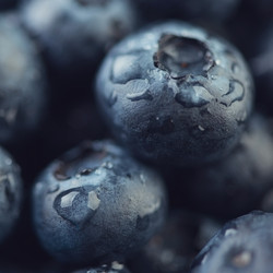 Similar image 2942608