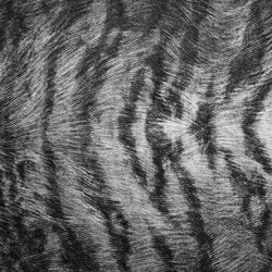 Similar image 2942646