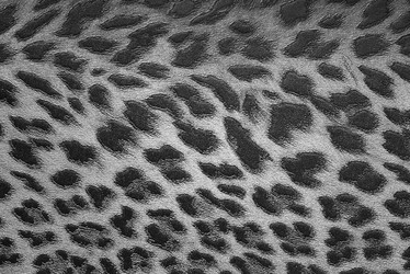 Similar image 2942648