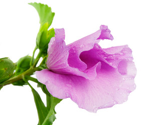 Similar image 2942656