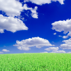 Similar image 2942662