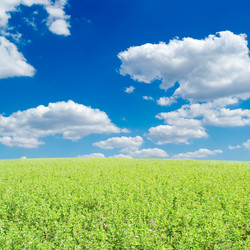 Similar image 2942672