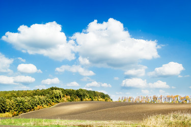 Similar image 2942676