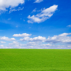 Similar image 2942677