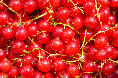 Similar image 2942950