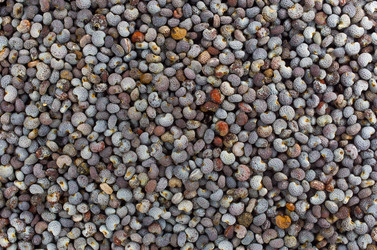 Similar image 2942951