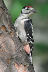 Similar image 2942954