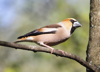 Similar image 2942955