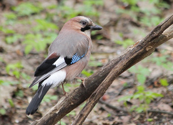 Similar image 2942956