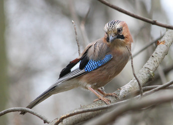 Similar image 2942957