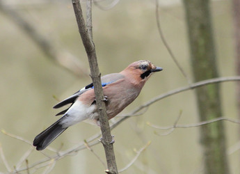 Similar image 2942958