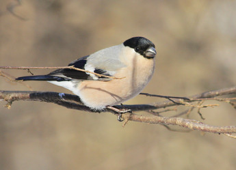 Similar image 2942959