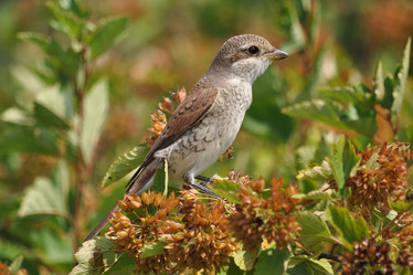 Similar image 2942963