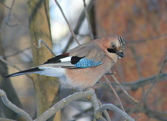 Similar image 2942964