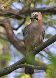 Similar image 2943584