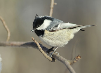 Similar image 2943602