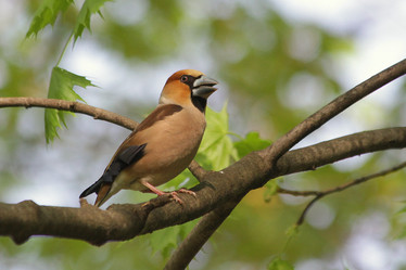 Similar image 2943603