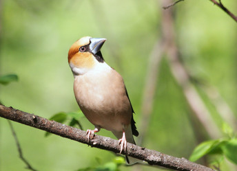 Similar image 2943604