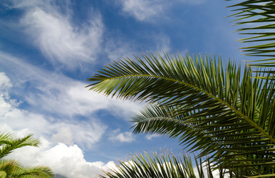 Similar image 2943650