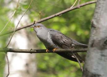 Similar image 2943744