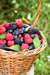 Similar image 2944334