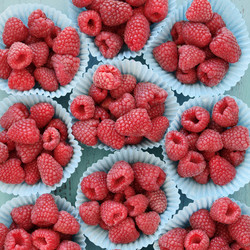 Similar image 2944685