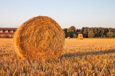 Similar image 2944689