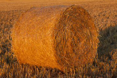 Similar image 2944691