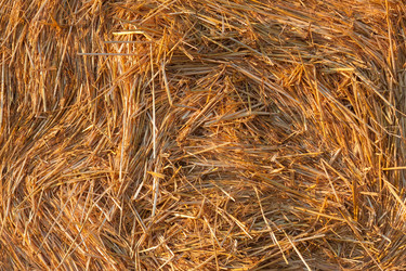 Similar image 2944692