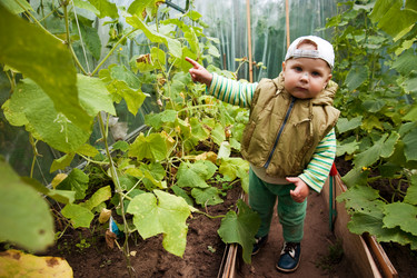 Similar image 2944737