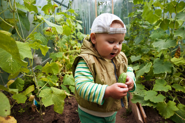 Similar image 2944739