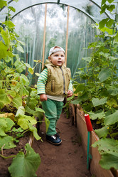 Similar image 2944743