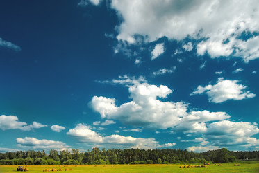 Similar image 2944836