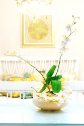 Similar image 2944839