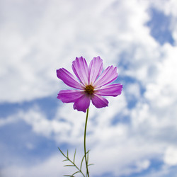 Similar image 2944944