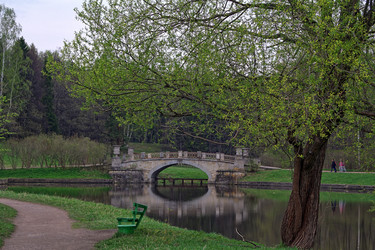 Similar image 2944962