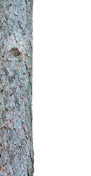 Similar image 2944977