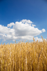 Similar image 2945075