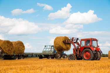 Similar image 2945095