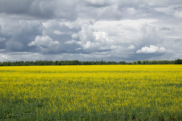 Similar image 2945149