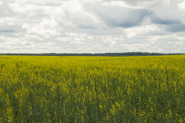 Similar image 2945150