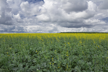 Similar image 2945151