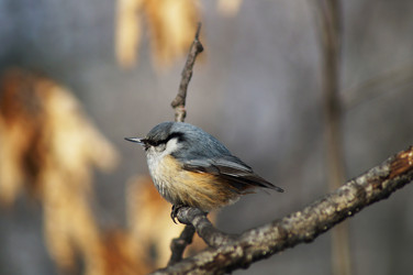 Similar image 2945156