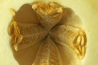 Similar image 2945173