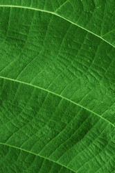 Similar image 2945259