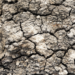 Similar image 2945285