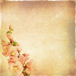 Similar image 2945287