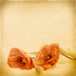 Similar image 2945301