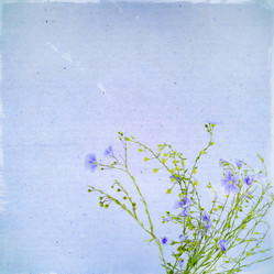 Similar image 2945304