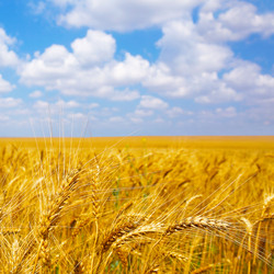 Similar image 2945305